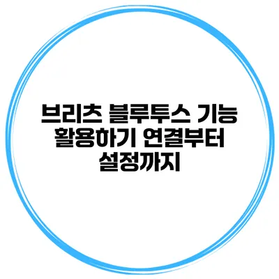 브리츠 블루투스 기능 활용하기 연결부터 설정까지