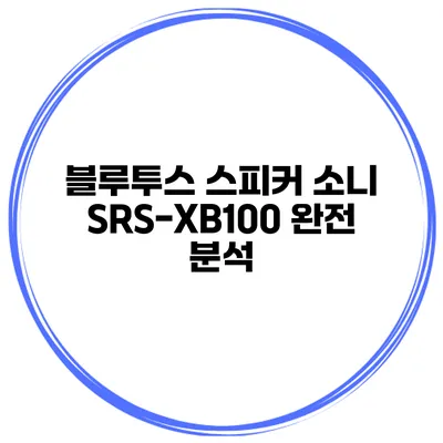 블루투스 스피커 소니 SRS-XB100 완전 분석