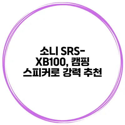 소니 SRS-XB100, 캠핑 스피커로 강력 추천