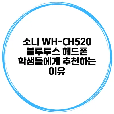 소니 WH-CH520 블루투스 헤드폰 학생들에게 추천하는 이유